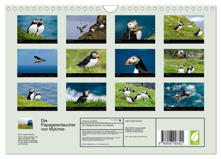 Produktbild: Die Papageientaucher von Mykines (Wandkalender 2026 DIN A4 quer), CALVENDO Monatskalender