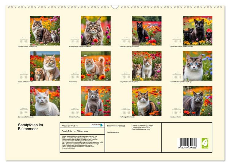 Produktbild: Samtpfoten im Bl&uuml;tenmeer (hochwertiger Premium Wandkalender 2026 DIN A2 quer), Kunstdruck in Hochglanz