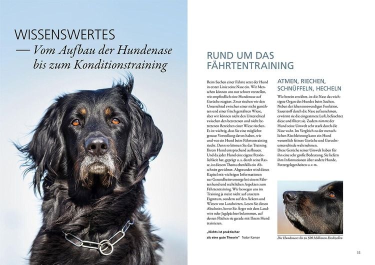 Produktbild: Trainingsbuch F&auml;hrtenarbeit