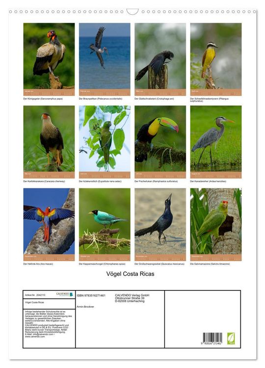 Produktbild: V&ouml;gel Costa Ricas (Wandkalender 2026 DIN A2 hoch), CALVENDO Monatskalender
