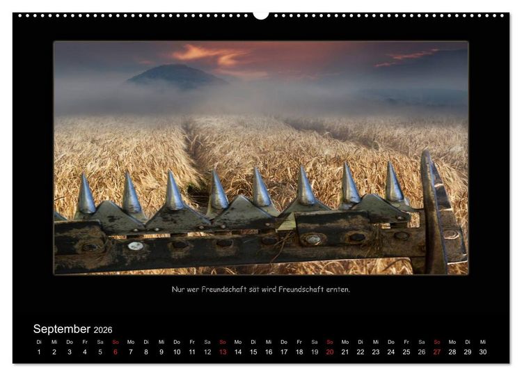 Produktbild: Freundschaft (Wandkalender 2026 DIN A2 quer), CALVENDO Monatskalender