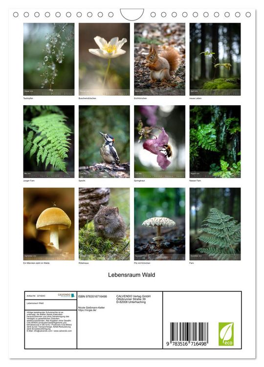 Produktbild: Lebensraum Wald (Wandkalender 2026 DIN A4 hoch), CALVENDO Monatskalender