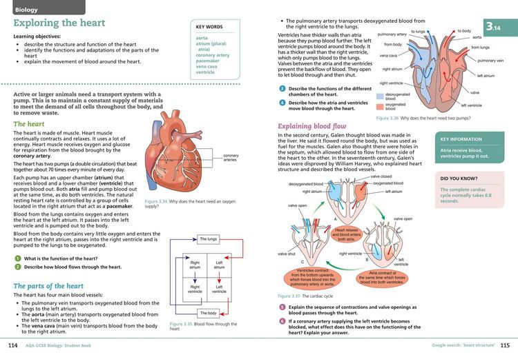 Produktbild: GCSE SCIENCE-AQA GCSE (9-1) B_