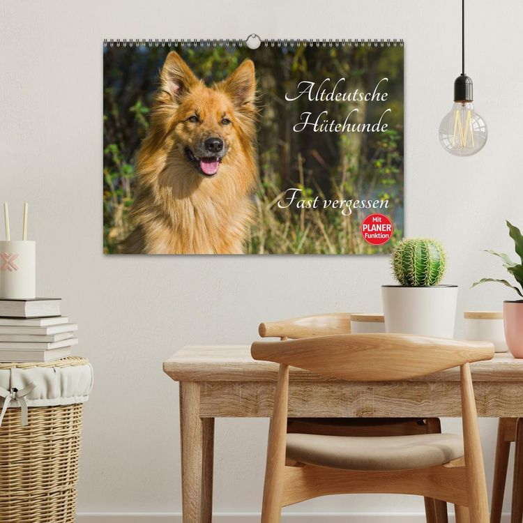 Produktbild: Altdeutsche H&uuml;tehunde - Fast vergessen (Wandkalender 2026 DIN A3 quer), CALVENDO Monatskalender