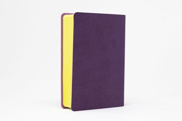 Produktbild: Die Bibel. Senfkorn, Handschmeichler lila