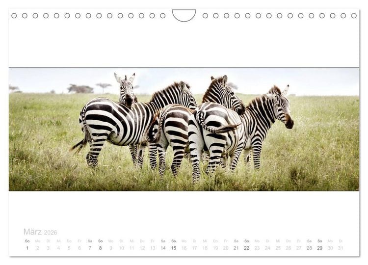 Produktbild: Serengeti Panorama (Wandkalender 2026 DIN A4 quer), CALVENDO Monatskalender
