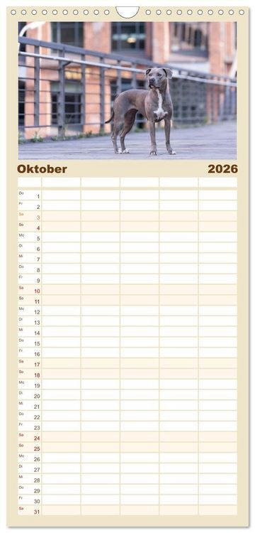 Produktbild: Familienplaner 2026 - Hunde in der City - Unterwegs in Hamburg mit 5 Spalten (Wandkalender, 21 x 45 cm) CALVENDO