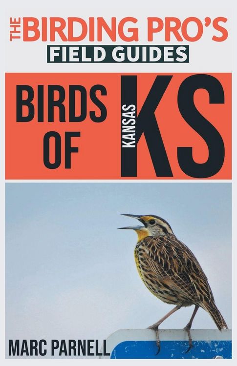 Produktbild: Birds of Kansas (The Birding Pro's Field Guides)