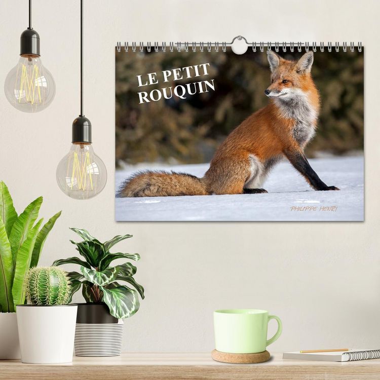 Produktbild: LE PETIT ROUQUIN (Calendrier mural 2026 DIN A4 vertical), CALVENDO calendrier mensuel