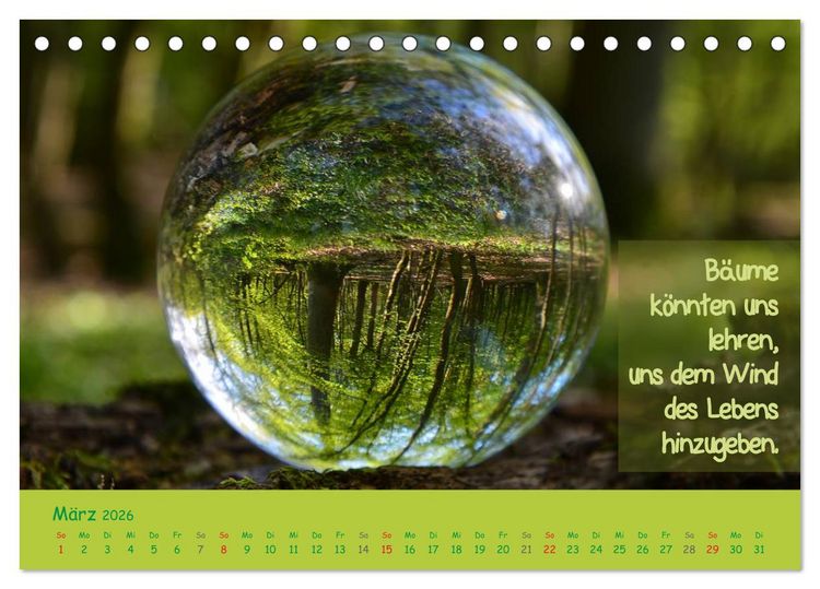 Produktbild: Wunderbare Waldkugeln (Tischkalender 2026 DIN A5 quer), CALVENDO Monatskalender
