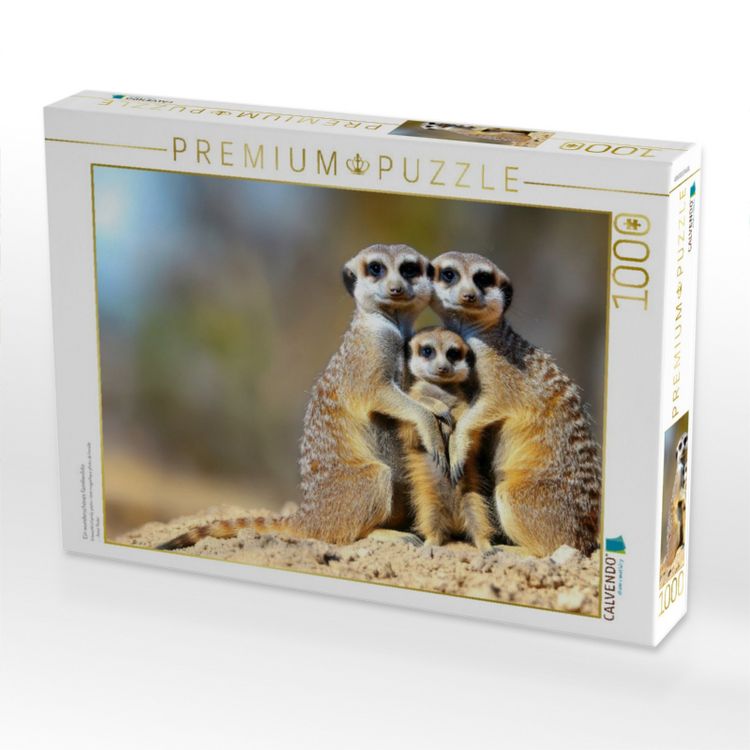Produktbild: CALVENDO Puzzle Ein wundersch&ouml;nes Familienfoto | 1000 Teile Lege-Gr&ouml;&szlig;e 64x48cm Foto-Puzzle f&uuml;r gl&uuml;ckliche Stunden
