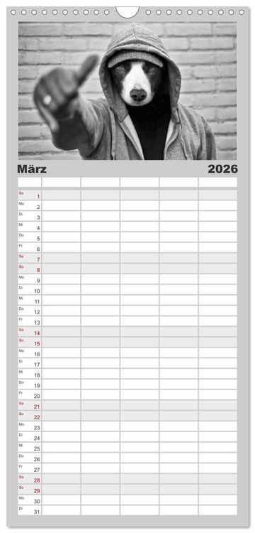 Produktbild: Familienplaner 2026 - H&uuml;tehunde mit 5 Spalten (Wandkalender, 21 x 45 cm) CALVENDO