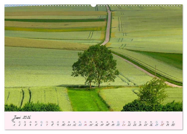 Produktbild: Wald und Baum 2026 (hochwertiger Premium Wandkalender 2026 DIN A2 quer), Kunstdruck in Hochglanz