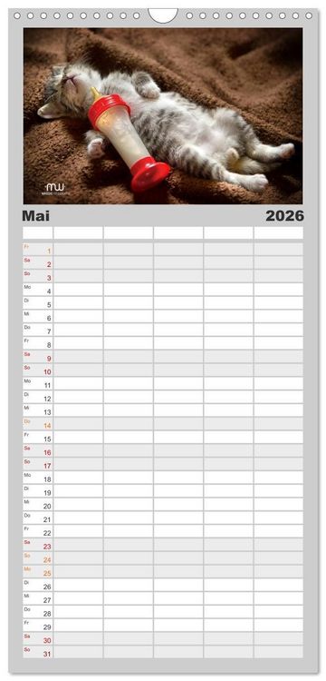 Produktbild: Familienplaner 2026 - Zauberhafte K&auml;tzchen mit 5 Spalten (Wandkalender, 21 x 45 cm) CALVENDO