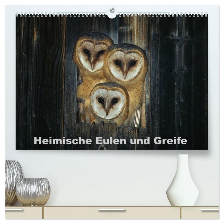 Produktbild: Heimische Eulen und Greife (hochwertiger Premium Wandkalender 2026 DIN A2 quer), Kunstdruck in Hochglanz