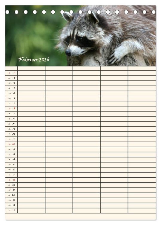 Produktbild: Waschb&auml;ren Familienplaner (Tischkalender 2026 DIN A5 hoch), CALVENDO Monatskalender