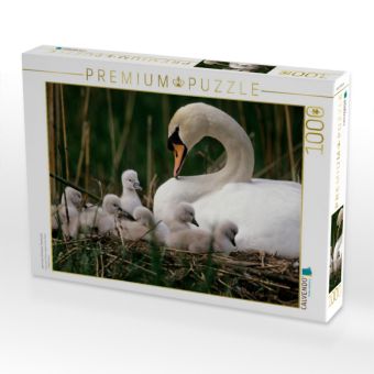 Produktbild: CALVENDO Puzzle stummen Schw&auml;ne. Frankreich | 1000 Teile Lege-Gr&ouml;&szlig;e 64x48cm Foto-Puzzle f&uuml;r gl&uuml;ckliche Stunden