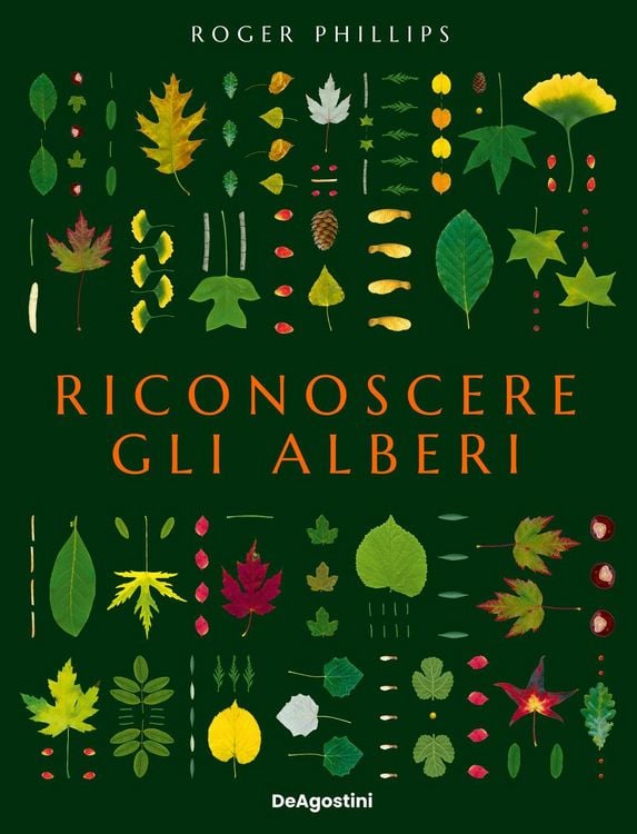 Produktbild: Riconoscere gli alberi