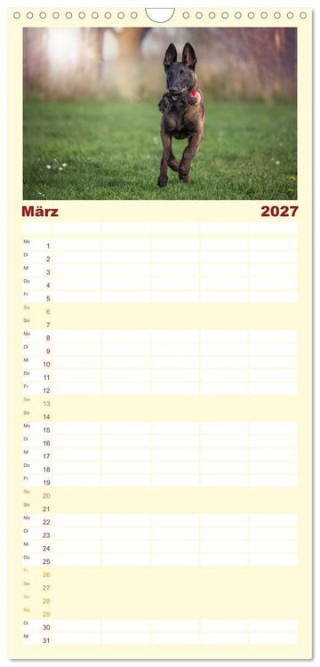 Produktbild: Familienplaner 2027 - Traumhund Malinois mit 5 Spalten (Wandkalender, 21 x 45 cm) CALVENDO