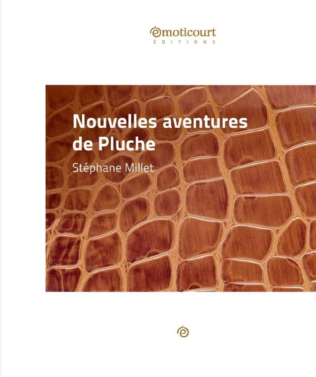 Produktbild: Nouvelles aventures de Pluche