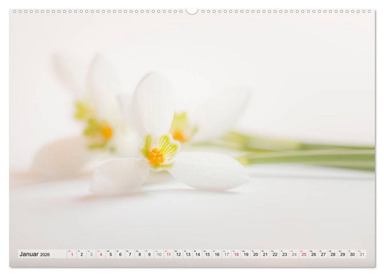 Produktbild: Farbenfroher Bl&uuml;tentraum (hochwertiger Premium Wandkalender 2026 DIN A2 quer), Kunstdruck in Hochglanz