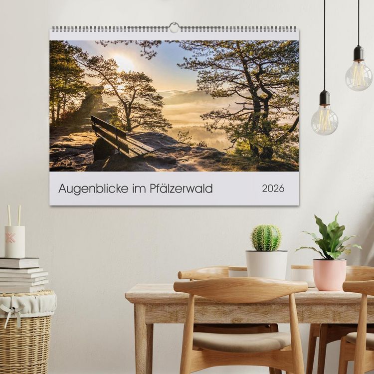 Produktbild: Augenblicke im Pf&auml;lzerwald (Wandkalender 2026 DIN A2 quer), CALVENDO Monatskalender