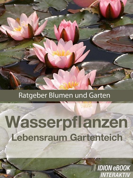 Produktbild: Wasserpflanzen - Lebensraum Gartenteich