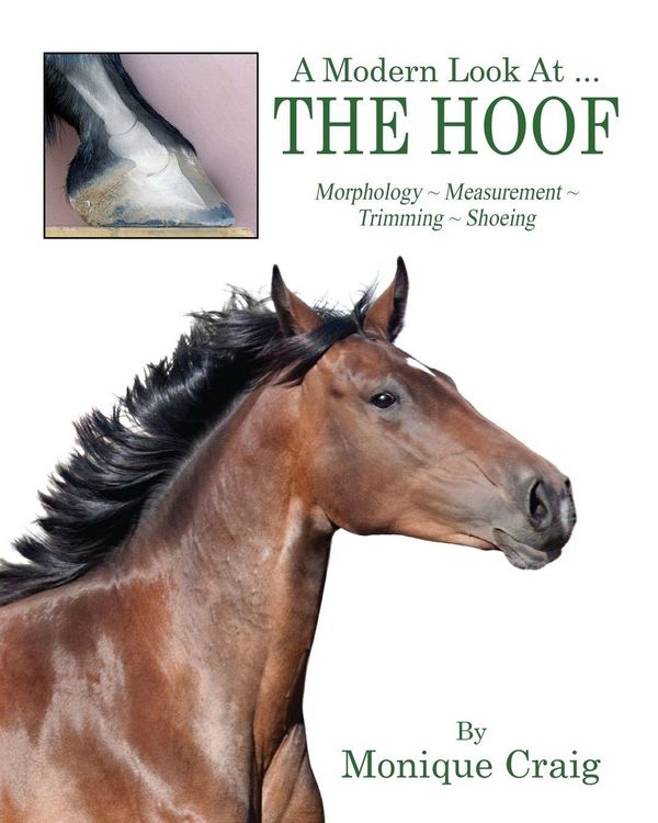 Produktbild: A Modern Look At ... THE HOOF