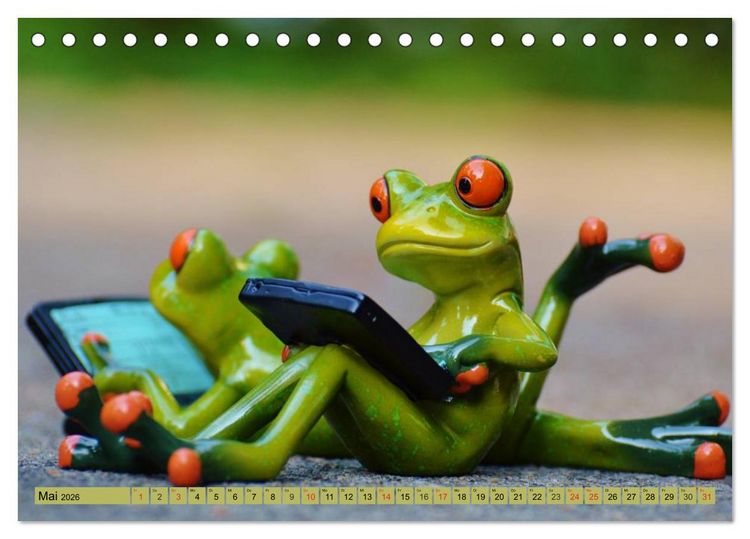 Produktbild: Froschsommer. Liebe, Sonne und Urlaub (Tischkalender 2026 DIN A5 quer), CALVENDO Monatskalender