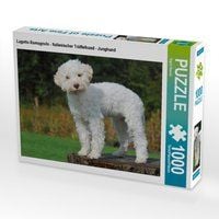 Produktbild: CALVENDO Puzzle Lagotto Romagnolo - Italienischer Tr&uuml;ffelhund - Junghund | 1000 Teile Lege-Gr&ouml;&szlig;e 64x48cm Foto-Puzzle f&uuml;r gl&uuml;ckliche Stunden