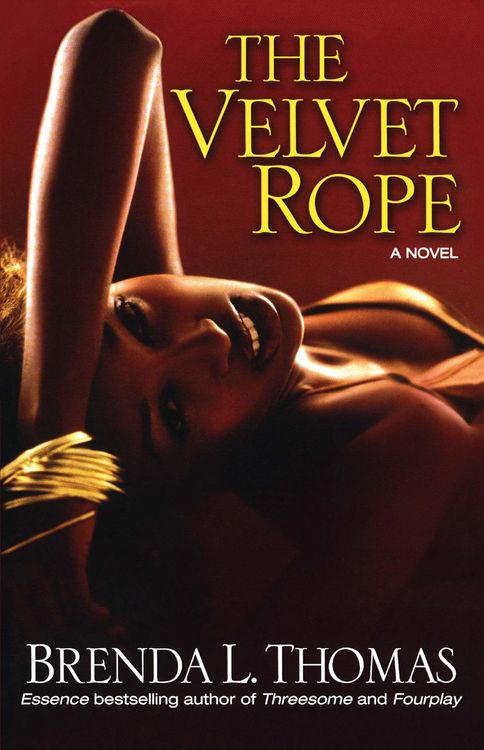 Produktbild: The Velvet Rope