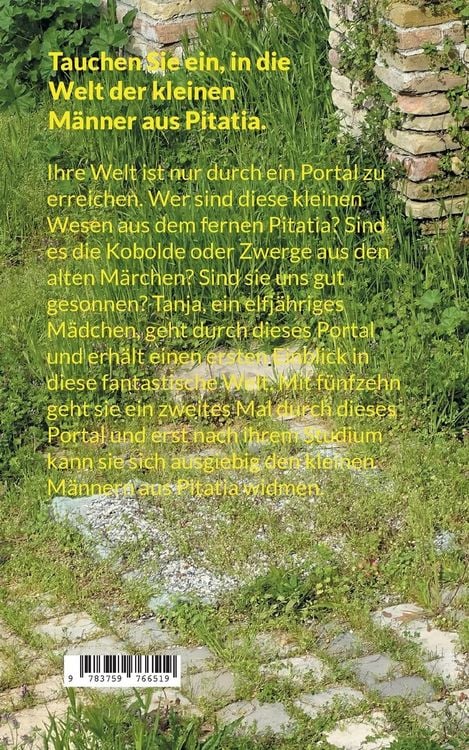 Produktbild: Das Portal im Hinterhof