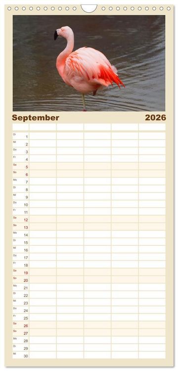 Produktbild: Familienplaner 2026 - Flamingo Zauber mit 5 Spalten (Wandkalender, 21 x 45 cm) CALVENDO