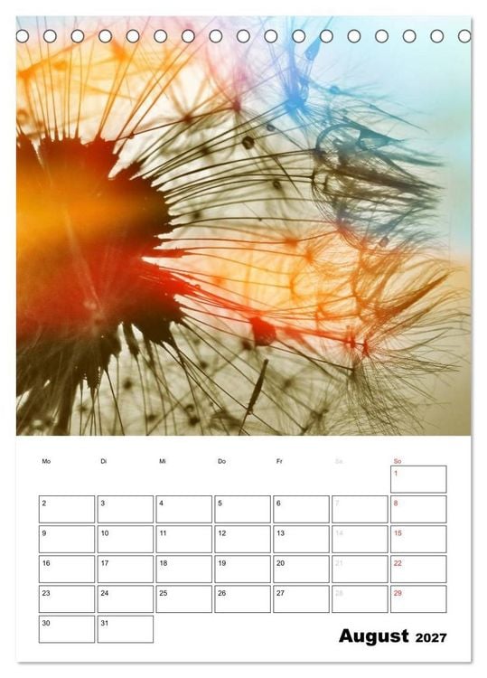 Produktbild: Pusteblumentraum - Dreams of Dandelion (Tischkalender 2027 DIN A5 hoch), CALVENDO Monatskalender