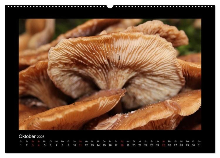 Produktbild: Impressionen vom Solinger Klingenpfad (hochwertiger Premium Wandkalender 2026 DIN A2 quer), Kunstdruck in Hochglanz