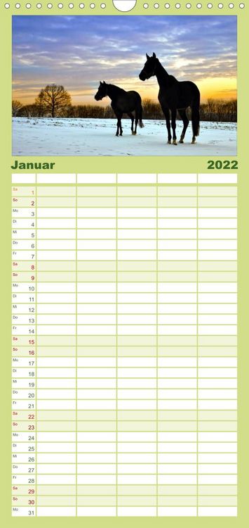 Produktbild: Familienplaner Faszination Pferde (Wandkalender 2022 , 21 cm x 45 cm, hoch)
