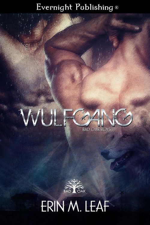 Produktbild: Wulfgang (Bad Oak Boys, #3)