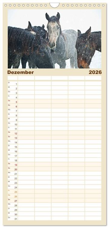Produktbild: Familienplaner 2026 - Pferde - kraftvolle Eleganz mit 5 Spalten (Wandkalender, 21 x 45 cm) CALVENDO