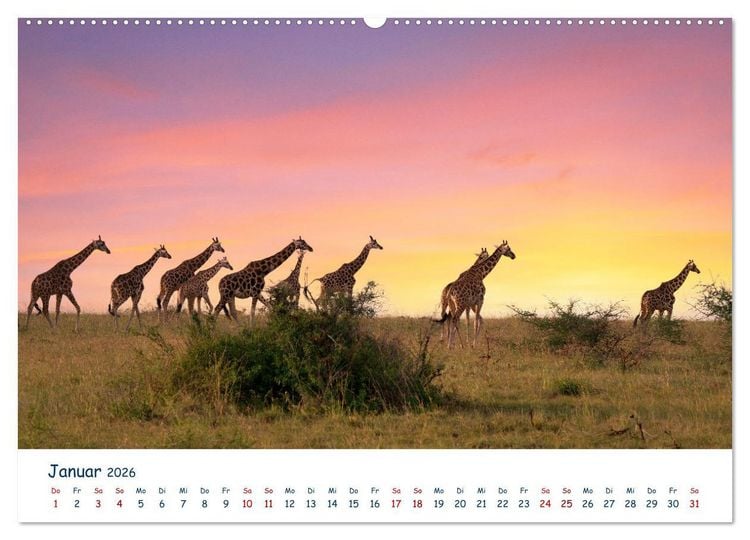 Produktbild: Fernweh Uganda - Natursch&ouml;nheit Ostafrikas (Wandkalender 2026 DIN A2 quer), CALVENDO Monatskalender