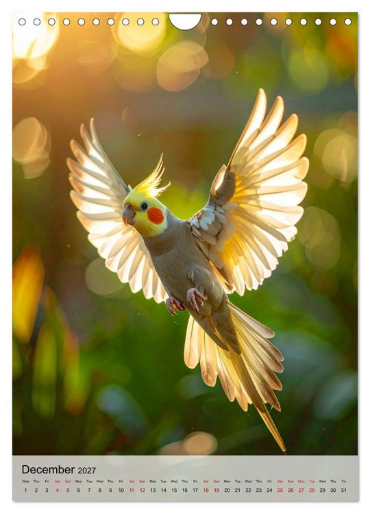 Produktbild: Cockatiel Dreams (Wall Calendar 2027 DIN A4 portrait), CALVENDO 12 Month Wall Calendar