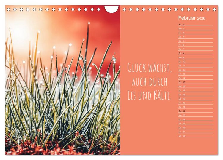 Produktbild: Eine Portion Gl&uuml;ck - Motivationskalender f&uuml;rs ganze Jahr (Wandkalender 2026 DIN A4 quer), CALVENDO Monatskalender