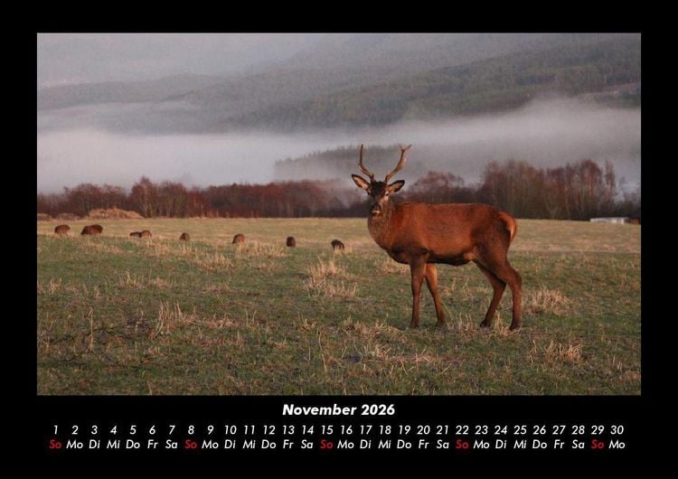 Produktbild: Naturlandschaften 2026 Fotokalender DIN A3