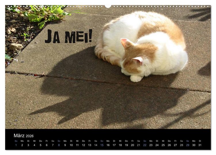 Produktbild: Baierische Lebensweisheiten (hochwertiger Premium Wandkalender 2026 DIN A2 quer), Kunstdruck in Hochglanz