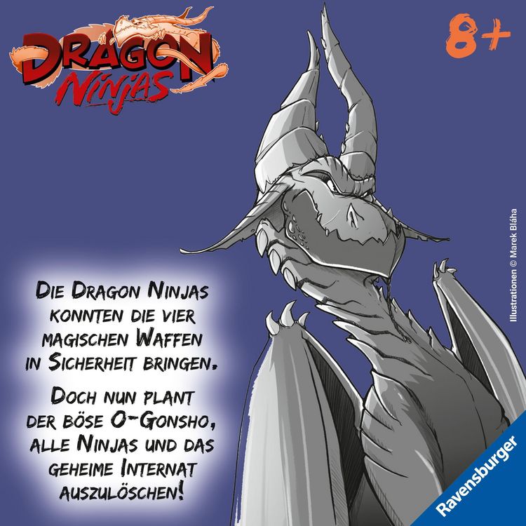 Produktbild: Dragon Ninjas, Band 5 - Der Drache der Schatten