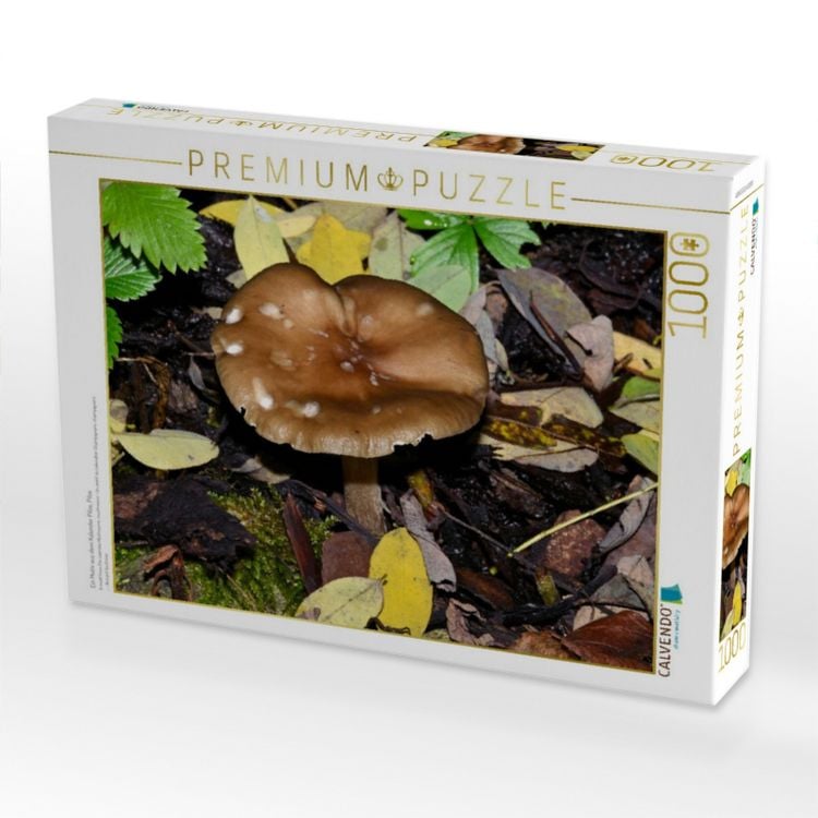 Produktbild: CALVENDO Puzzle Ein Motiv aus dem Kalender Pilze, Pilze | 1000 Teile Lege-Gr&ouml;&szlig;e 64x48cm Foto-Puzzle f&uuml;r gl&uuml;ckliche Stunden