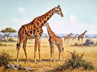 Produktbild: CALVENDO Puzzle Giraffe und Kind als Gem&auml;lde | 1000 Teile Lege-Gr&ouml;&szlig;e 64x48cm Foto-Puzzle f&uuml;r gl&uuml;ckliche Stunden