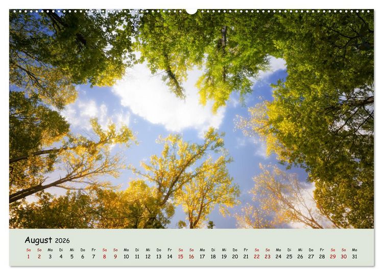 Produktbild: Waldbaden - Durch Achtsamkeit zu einer besseren Gesundheit (Wandkalender 2026 DIN A2 quer), CALVENDO Monatskalender