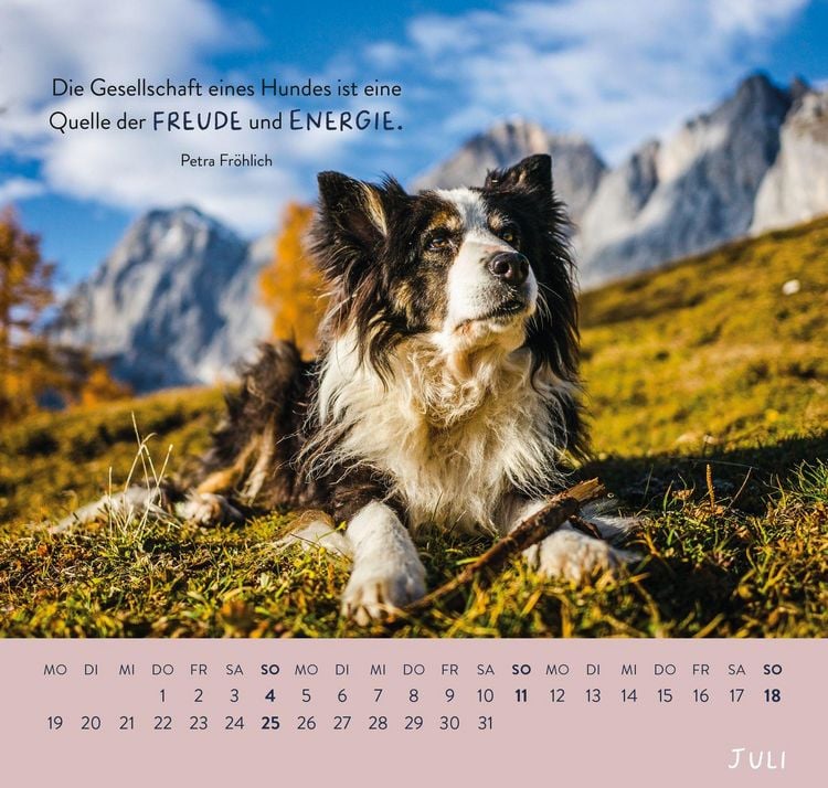 Produktbild: Wandkalender 2027: F&uuml;r Hundefreunde