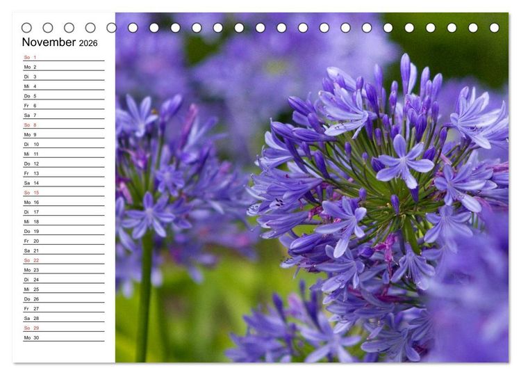 Produktbild: Azoren - S&atilde;o Miguel (Tischkalender 2026 DIN A5 quer), CALVENDO Monatskalender