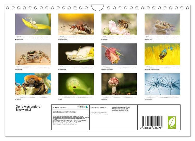 Produktbild: Der etwas andere Blickwinkel (Wandkalender 2026 DIN A4 quer), CALVENDO Monatskalender